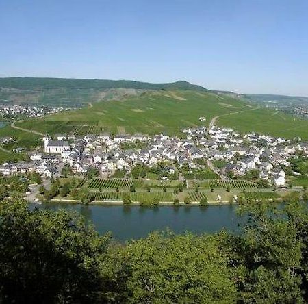 Fewo-Minheim Waltraud Und Franz Bayer المظهر الخارجي الصورة